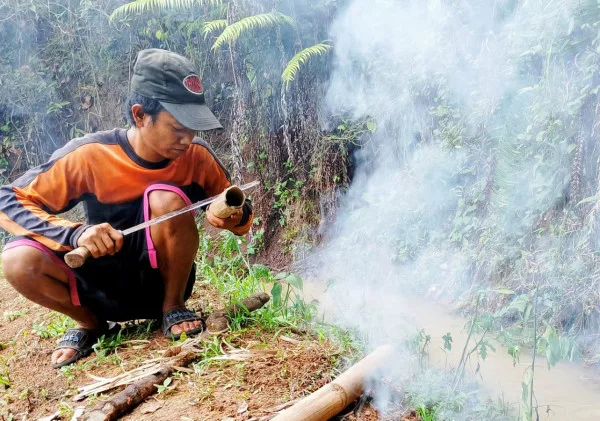 Trik Bertahan Hidup Di Hutan: Membuat Gelas Darurat dari Bambu