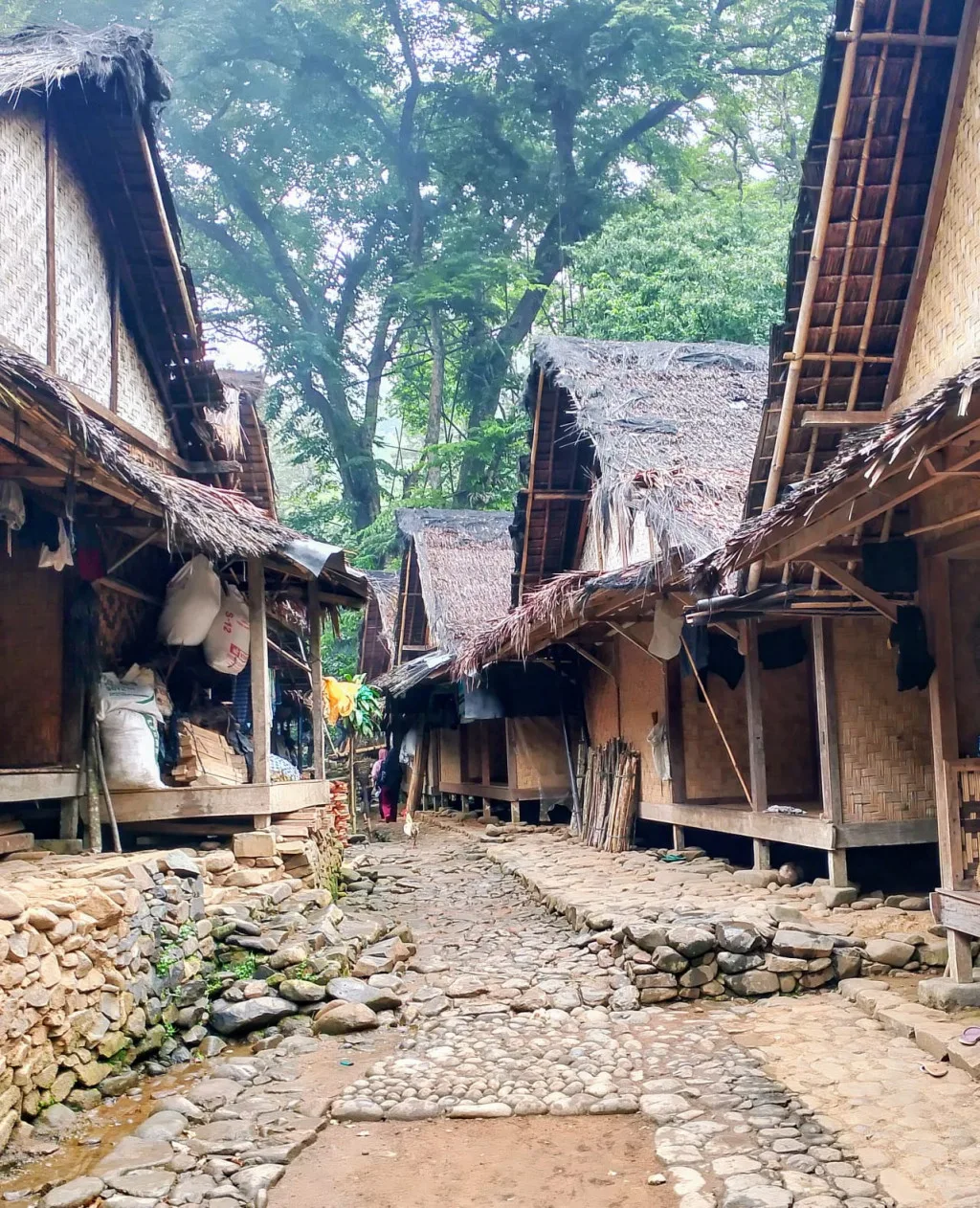 10 hal yang tidak boleh dilakukan saat mengunjungi suku Baduy