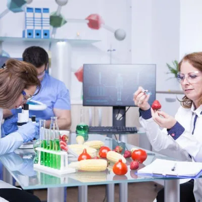 Makanan Aman, Hidup Nyaman: Peran Analisis Pangan di Kehidupan Sehari-hari