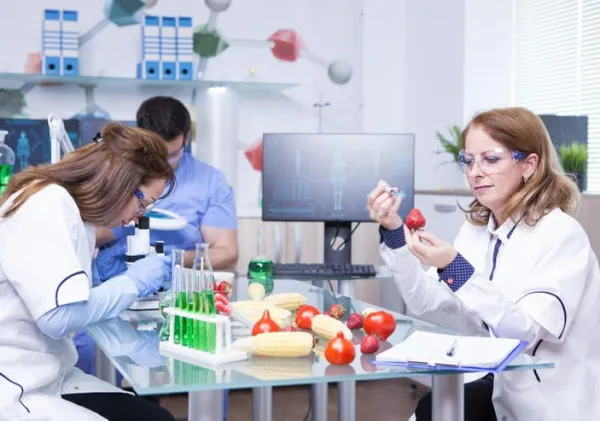 Makanan Aman, Hidup Nyaman: Peran Analisis Pangan di Kehidupan Sehari-hari