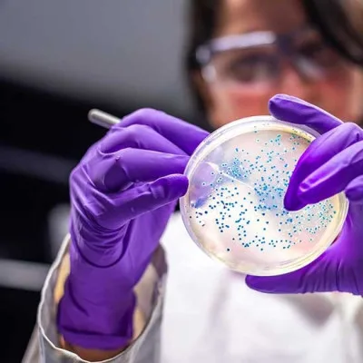 Rasanya Juara, Tapi Amankah? Pentingnya Analisis Mikrobiologi untuk Keamanan Pangan