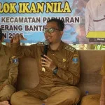 Sindangheula Kembangkan Budidaya Ikan Nila Bioflok, Target Panen Raya hingga 1,5 Ton