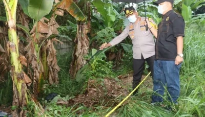 Mayat Pria yang Ditemukan di Semak Kebun Pisang Akhirnya Teridentifikasi, Polisi Ungkap Dugaan Kekerasan