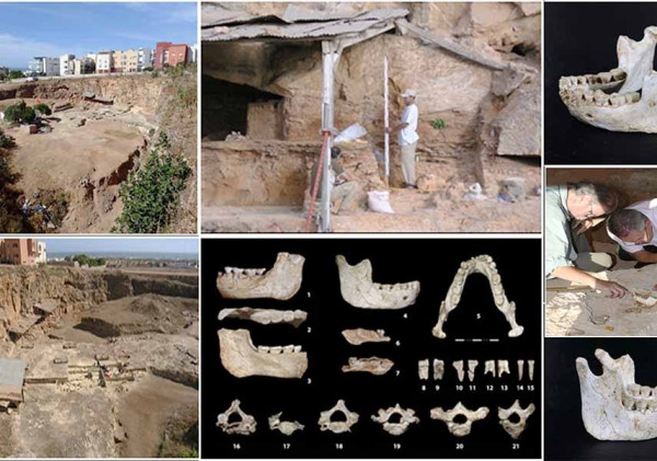 Fosil Pertama dari Periode Evolusi Manusia Ditemukan di Maroko