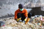 Pemkot Tangerang Optimalkan Budi Daya Maggot untuk Kelola Sampah Organik