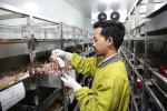 PMI Kota Tangerang Kumpulkan 75 Ribu Kantong Darah, Capai Target Tahun 2025