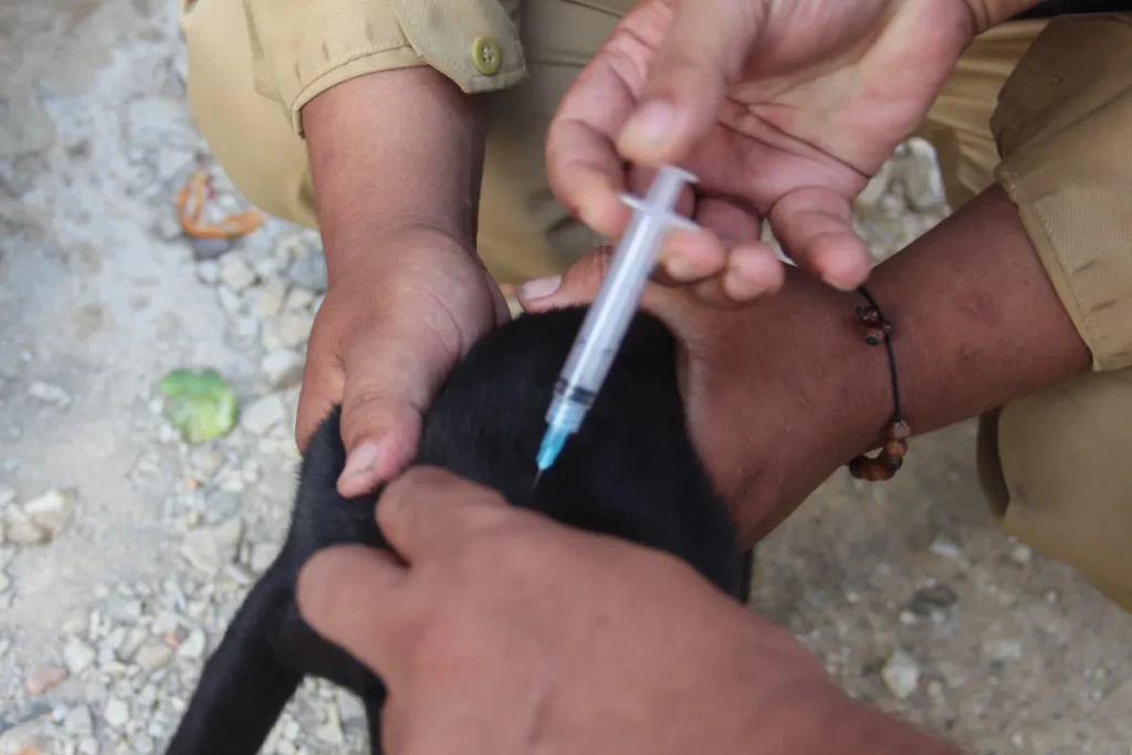 Banten Pertahankan Status Zero Case Rabies Selama 14 Tahun Berturut-turut