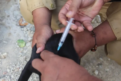 Banten Pertahankan Status Zero Case Rabies Selama 14 Tahun Berturut-turut