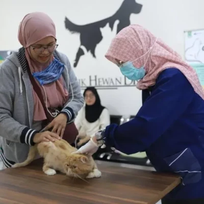 Ribuan Hewan Peliharaan di Kota Tangerang Nikmati Layanan Gratis Puskeswan, Begini Faktanya