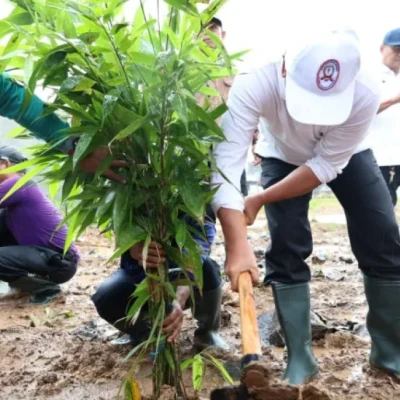 Bupati Tangerang Tanam Bambu di RTH Cisoka, Wujudkan Ruang Terbuka Hijau Berbasis Bambu