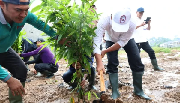 Bupati Tangerang Tanam Bambu di RTH Cisoka, Wujudkan Ruang Terbuka Hijau Berbasis Bambu