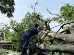 Pemkot Tangerang Imbau Masyarakat Laporkan Pohon Berpotensi Tumbang