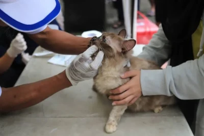 Pemkot Tangerang Gelar Vaksinasi Rabies Gratis