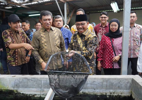 KUTIL Cimone: Bukti Ketahanan Pangan Bisa Tumbuh dari Lingkungan Warga