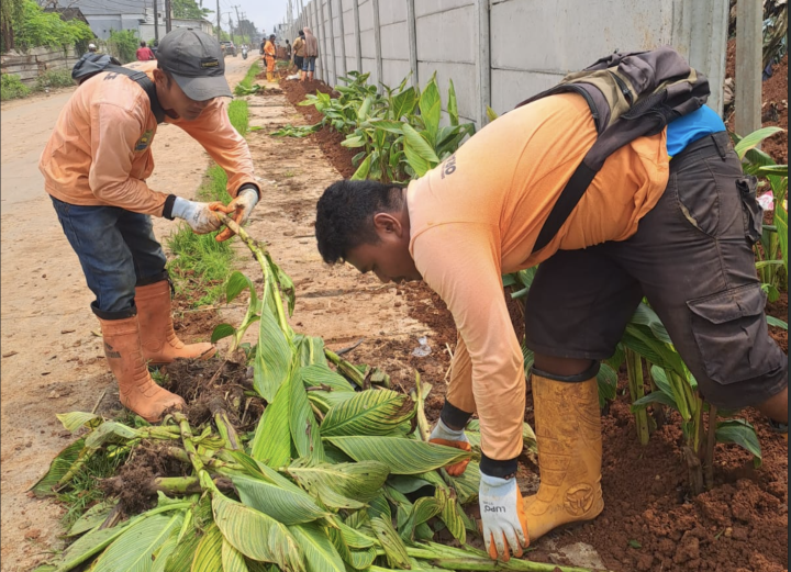 Pemkot Tangerang Kembangkan TPA Rawa Kucing dengan Penanaman 4.000 Tumbuhan Kana