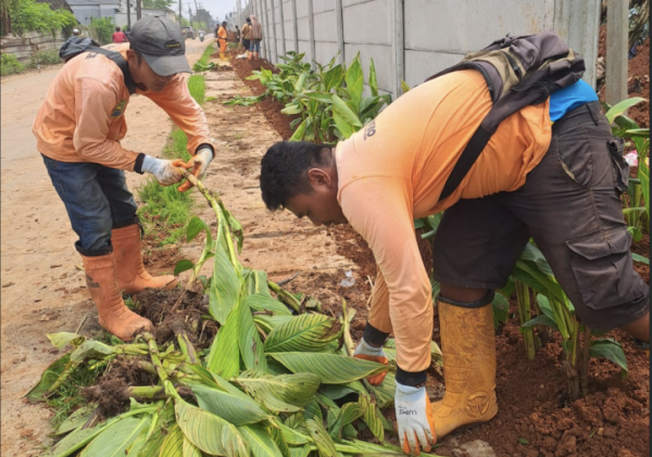 Pemkot Tangerang Kembangkan TPA Rawa Kucing dengan Penanaman 4.000 Tumbuhan Kana