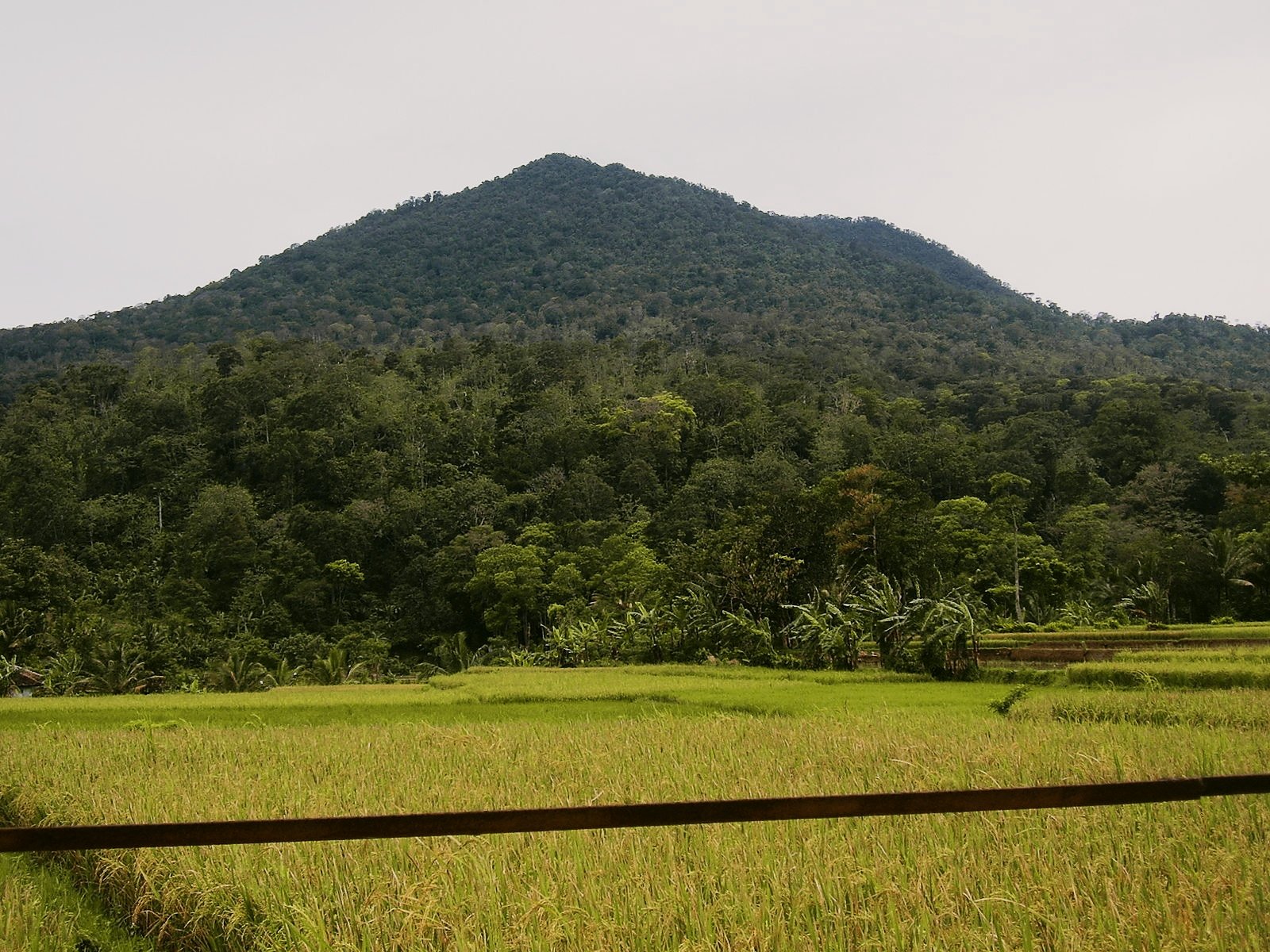 4 Tempat Angker Yang Ada di Banten, ini Daftarnya :