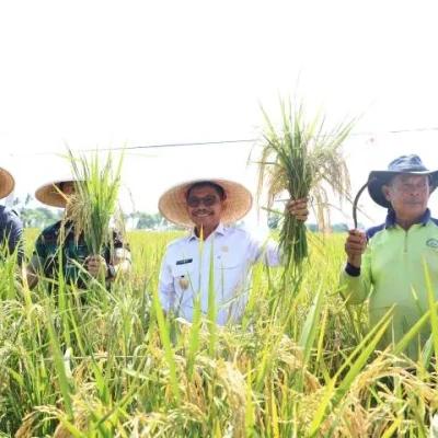 Kota Tangerang Capai Kemajuan di Bidang Ekonomi dan Ketahanan Pangan