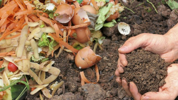 Dari Sampah Jadi Berkah: Inovasi Hijau Warga Ubah Limbah Jadi Energi