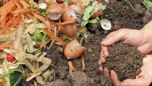 Dari Sampah Jadi Berkah: Inovasi Hijau Warga Ubah Limbah Jadi Energi