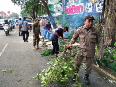 Pohon Tumbang di Jalan Gatot Subroto, Satgas Jatiuwung Bergerak Cepat Amankan Akses Jalan