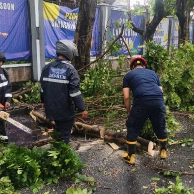Hujan Deras Disertai Angin Kencang Terjang Kota Tangerang, Pohon Tumbang Timpa Kendaraan dan Tutup Akses Jalan