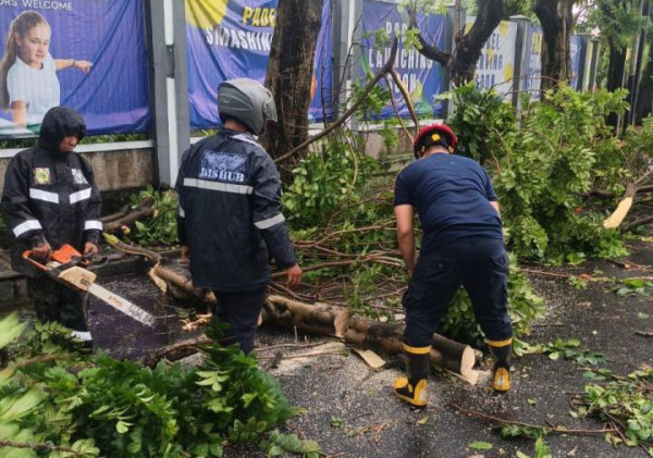 Hujan Deras Disertai Angin Kencang Terjang Kota Tangerang, Pohon Tumbang Timpa Kendaraan dan Tutup Akses Jalan
