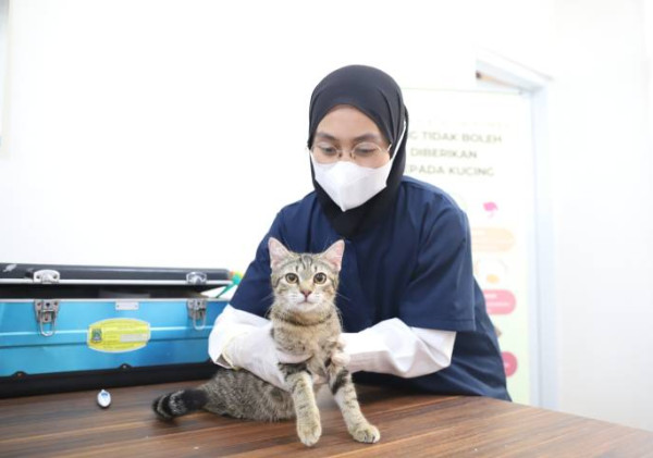 Hari Rabies Sedunia, Pemkot Tangerang Gelar Vaksinasi Hewan Gratis: Antusias Warga Tinggi!