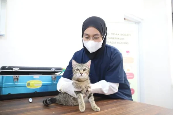 Hari Rabies Sedunia, Pemkot Tangerang Gelar Vaksinasi Hewan Gratis: Antusias Warga Tinggi!