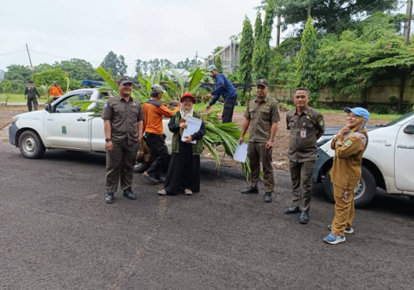 20 Ribu Bibit Kelapa Genjah Disalurkan, Pemkot Tangerang Siapkan Ketahanan Pangan dari Tingkat Kelurahan