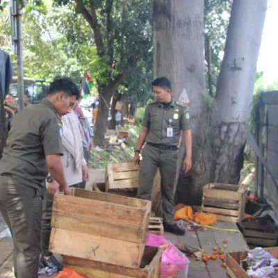Penertiban Besar-Besaran di Jalan Benteng Betawi: Satpol PP Gerak Cepat Jawab Keluhan Warga
