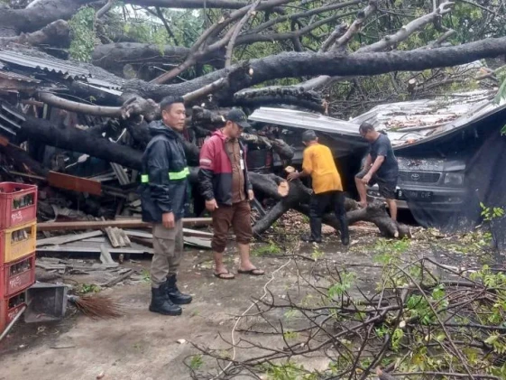 Hujan Deras Sejak Pagi Picu Genangan dan Pohon Tumbang di Kota Tangerang: BPBD Bergerak Cepat Tangani Darurat Cuaca Ekstrem