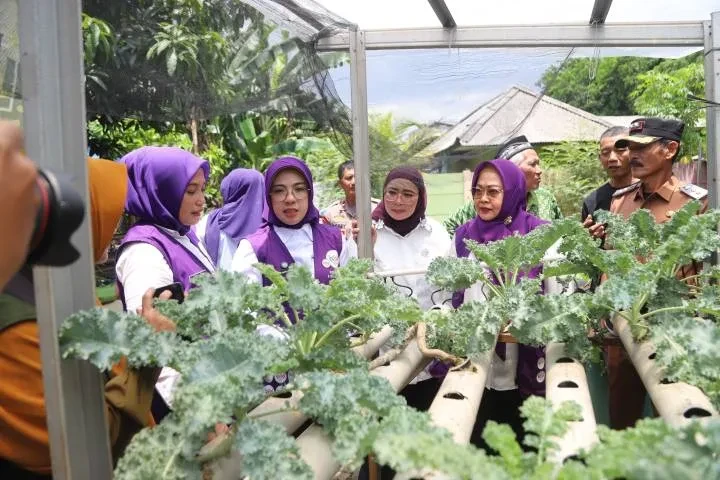 Posyandu Mawar 03 Jadi Sorotan Lagi! Inovasi Layanan Terpadu Jadi Perhatian Tim Pembina Provinsi Banten