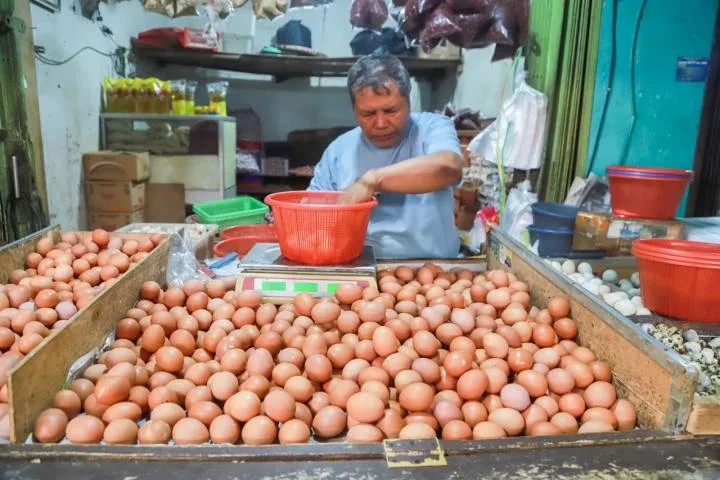 Menjelang Akhir Tahun, Harga Pangan di Kota Tangerang Masih Stabil — Cabai Merah Jadi Satu-satunya Komoditas yang Naik