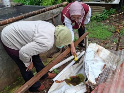 Waspada DBD! Dinkes Kota Tangerang Bongkar Titik-Titik Tersembunyi Sarang Nyamuk di Sekitar Rumah