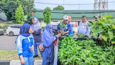 DKP Kota Tangerang Bagikan 300 Bibit Gratis, Ajak Warga Jadi “Petani Kota” di Tengah Perkotaan