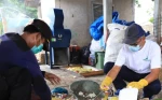 Kota Tangerang Ubah Sampah Jadi Berkah: Dari Rumah Tangga hingga TPA Rawa Kucing, Semua Terintegrasi!