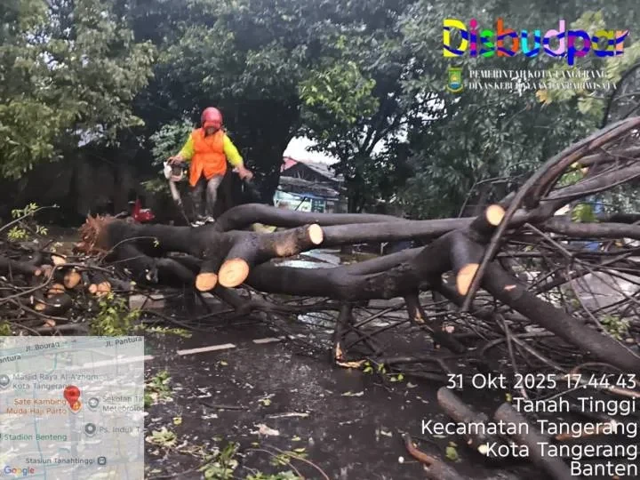 Hujan Deras Disertai Angin Kencang Terjang Kota Tangerang, Sejumlah Pohon Tumbang di Ruas Jalan Utama