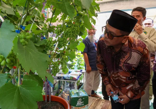 Gubernur Andra Soni Dorong Petani dan Nelayan Banten Kuasai Teknologi untuk Ketahanan Pangan