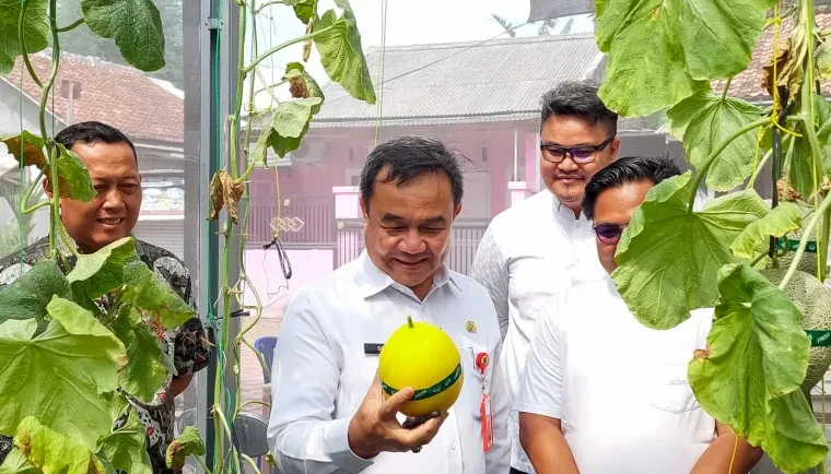 PANEN MELON MILENIAL: Saat Anak Muda Tangerang Tunjukkan Pertanian Bisa Keren dan Menguntungkan