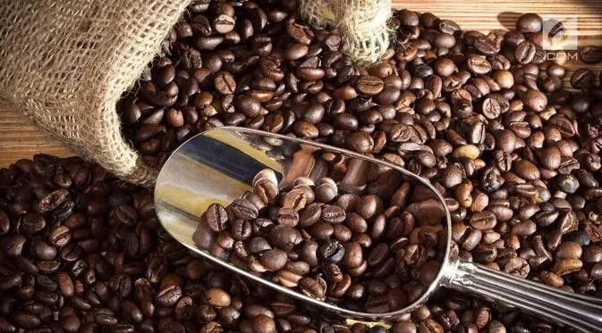 Manfaat Kopi: Bukan Hanya Penghilang Kantuk, tapi Juga Baik untuk Kesehatan