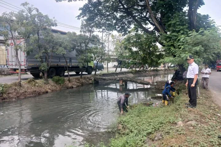 Antisipasi Musim Hujan, Kecamatan Benda Normalisasi Drainase dan Anak Sungai Cisadane