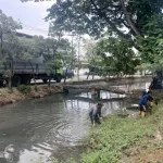Antisipasi Musim Hujan, Kecamatan Benda Normalisasi Drainase dan Anak Sungai Cisadane