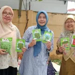 Pemkot Tangerang Dorong Ketahanan Pangan Lewat Gerakan Urban Farming