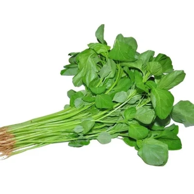 Sayur Bayam, Si Hijau Penambah Energi dan Zat Besi Alami