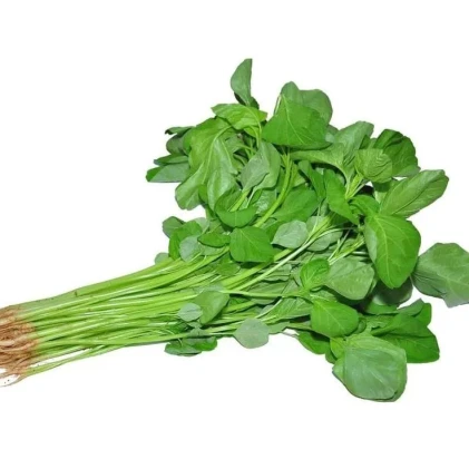 Sayur Bayam, Si Hijau Penambah Energi dan Zat Besi Alami