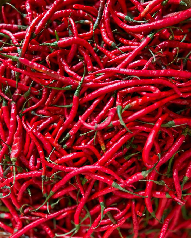 Nikmat Sesaat, Bahaya Mengintai: Risiko Tersembunyi di Balik Makanan Pedas