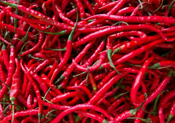 Nikmat Sesaat, Bahaya Mengintai: Risiko Tersembunyi di Balik Makanan Pedas