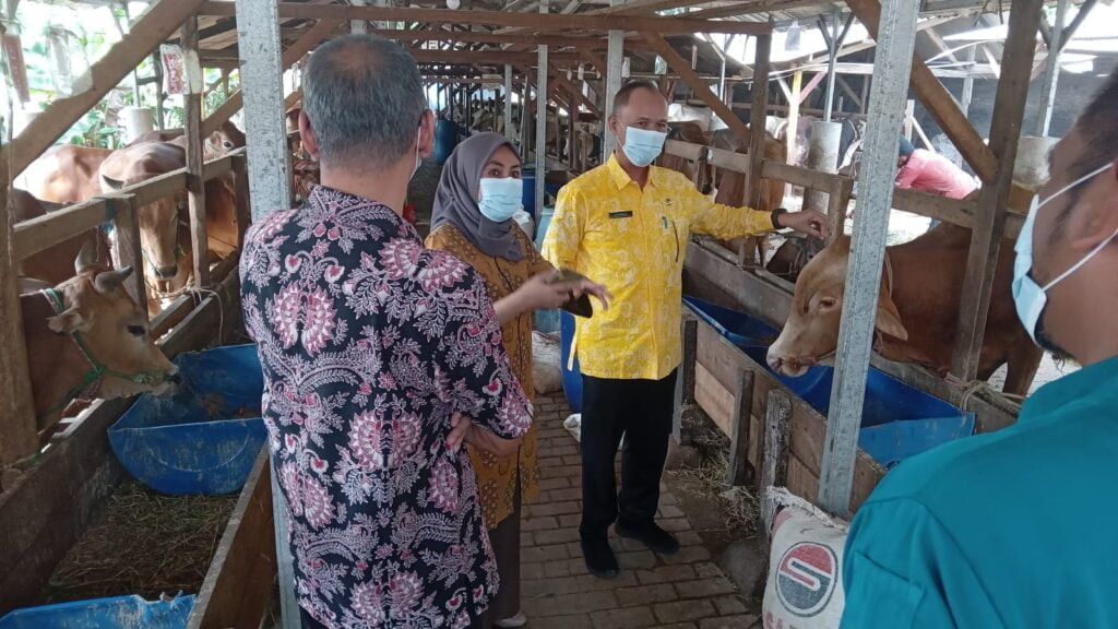 DKPP Pastikan Hewan Qurban di Kabupaten Serang dalam Kondisi Sehat