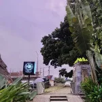 Cafe Kebon Cau, Harmoni Alam dan Modern di Tengah Kota Serang
